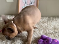 Watch me play!