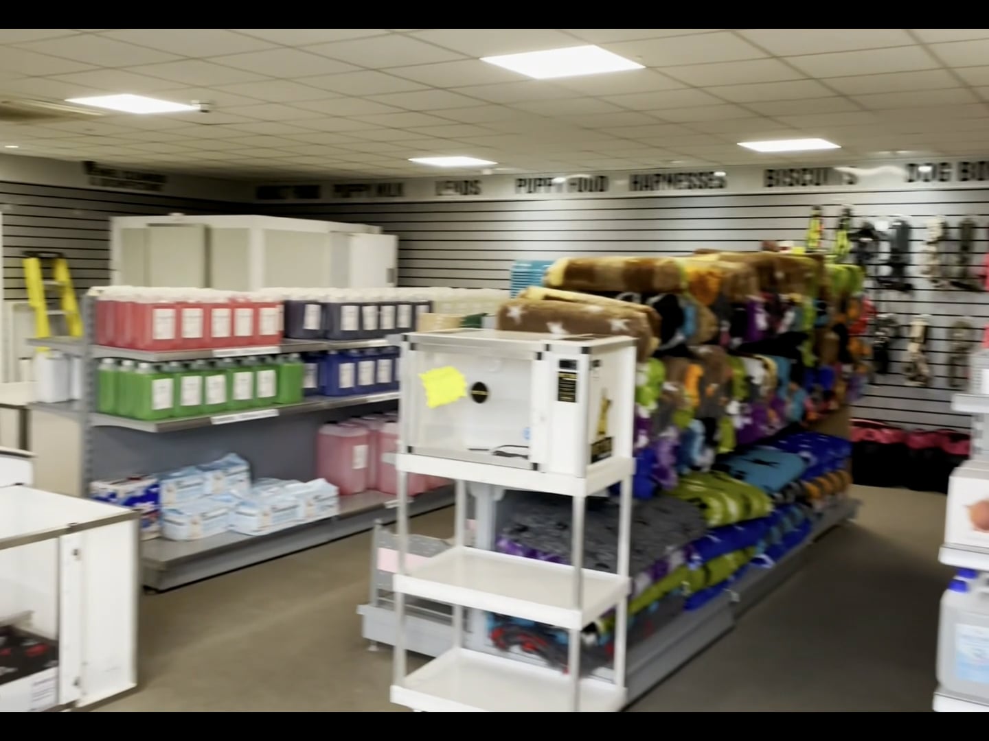 https://i.vimeocdn.com/video/2000505617-c9356b7ca2d001b02a4948128f687a5d9636612b01da6125fe7cc3bc64aef250-d