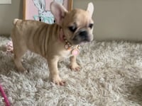 Watch me play!