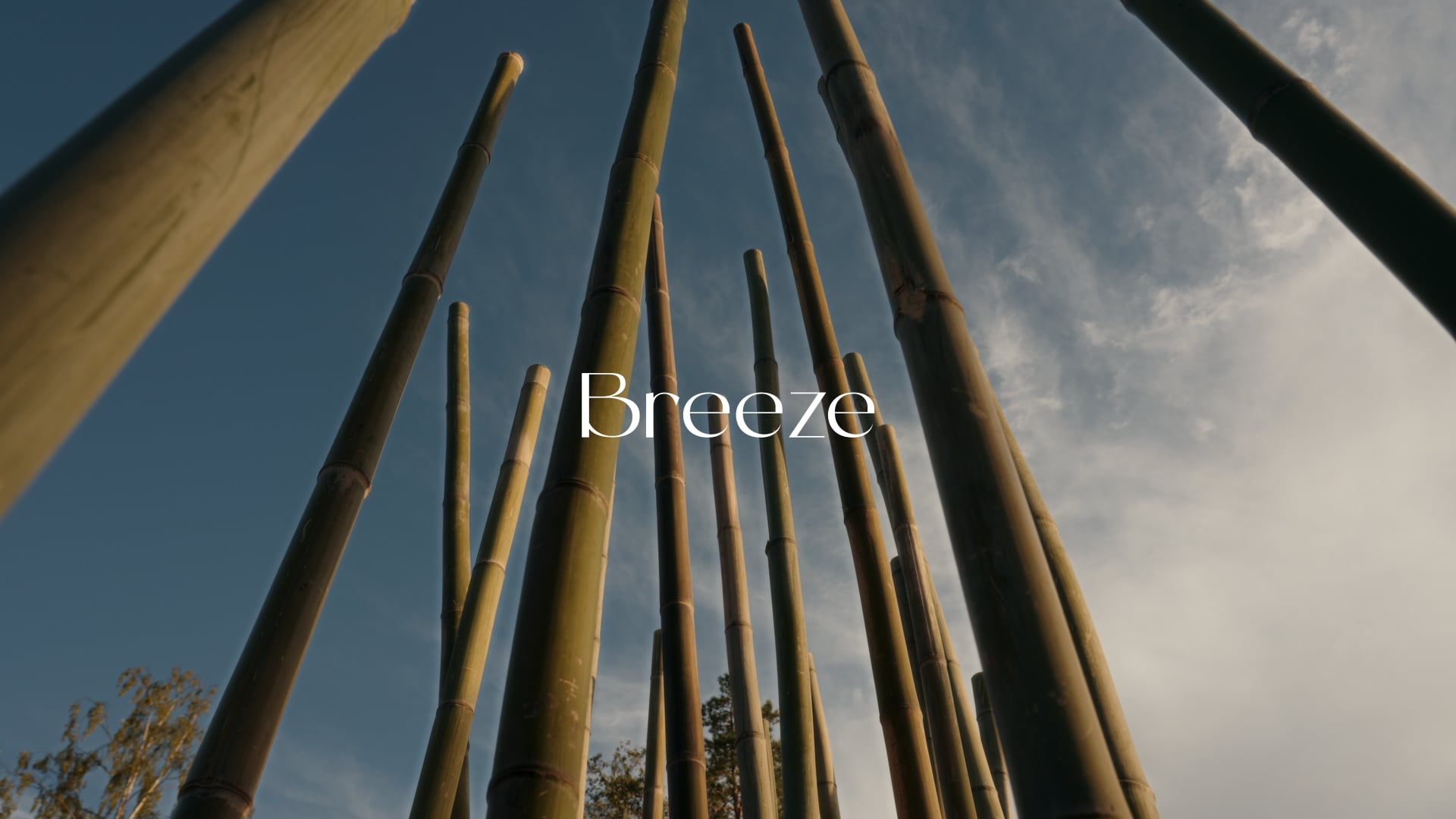 Breeze
