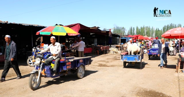 China - Kashgar - Exploring the Traditional Kashgar Sunday Livestock Bazaar (Cattle Trade)