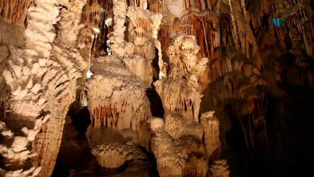 France - Explore the Wonders of Aven Armand Cave