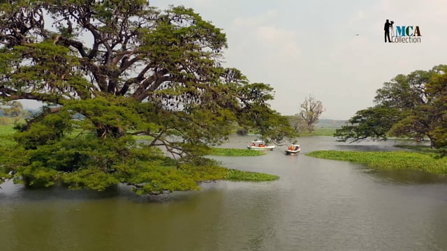 Exploring Tisa Lake: A Natural and Historical Gem in Sri Lanka