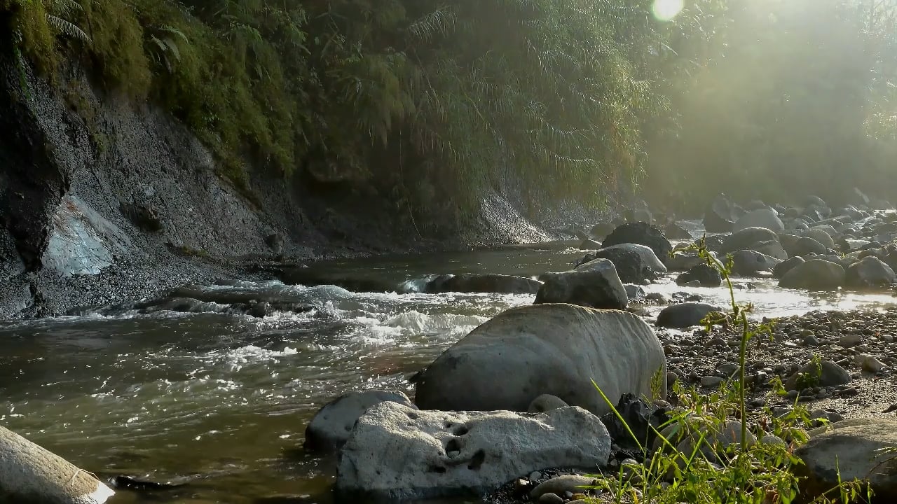 https://i.vimeocdn.com/video/2000585652-7f8684b1d7087cb7de0aeb9b96efcc26f0b72d2621932cf20602f508a14e3bb1-d