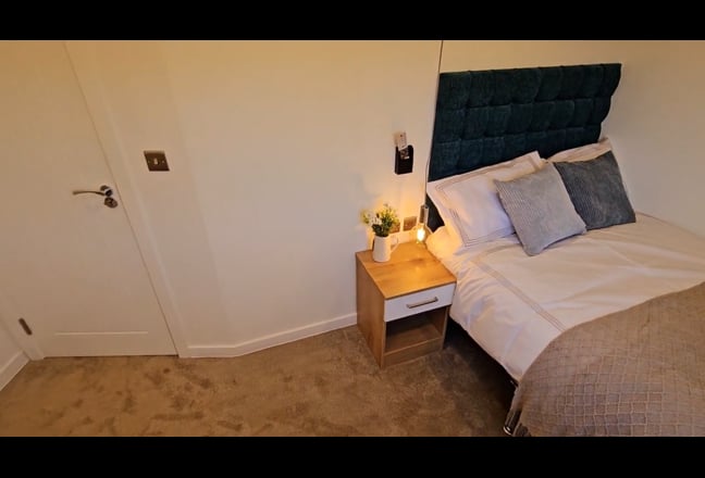 Video 1: