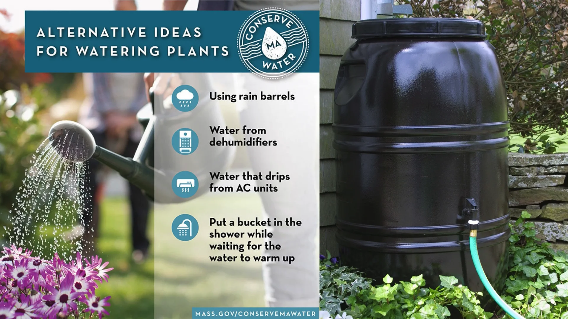 Water Saving Tips (1)
