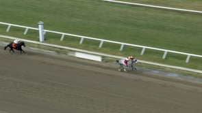 Tuscan Sky | 2024 Pegasus Stakes