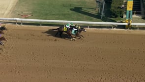 The Wine Steward | Fifth Season Stakes