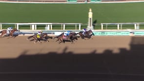 J B Strikes Back |  2024 Laffit Pincay, Jr. Stakes (G2)