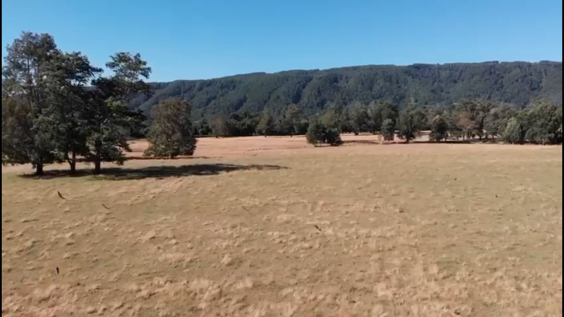 https://i.vimeocdn.com/video/2000730994-6aa320e5fbc2b5b56b14511feac74715eb9f8451e432a0c5b57b2b69cb4fd1d0-d