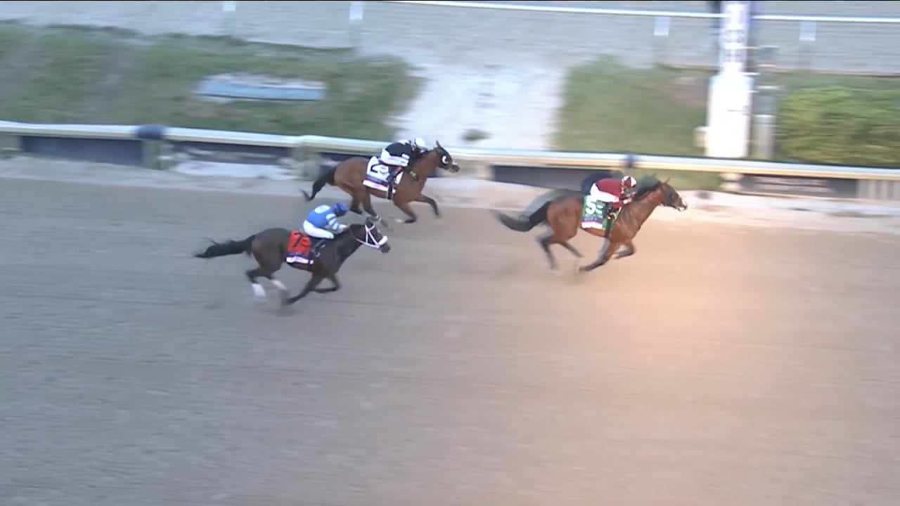 Dornoch | 2024 Fountain of Youth Stakes (G2) at Gulfstream