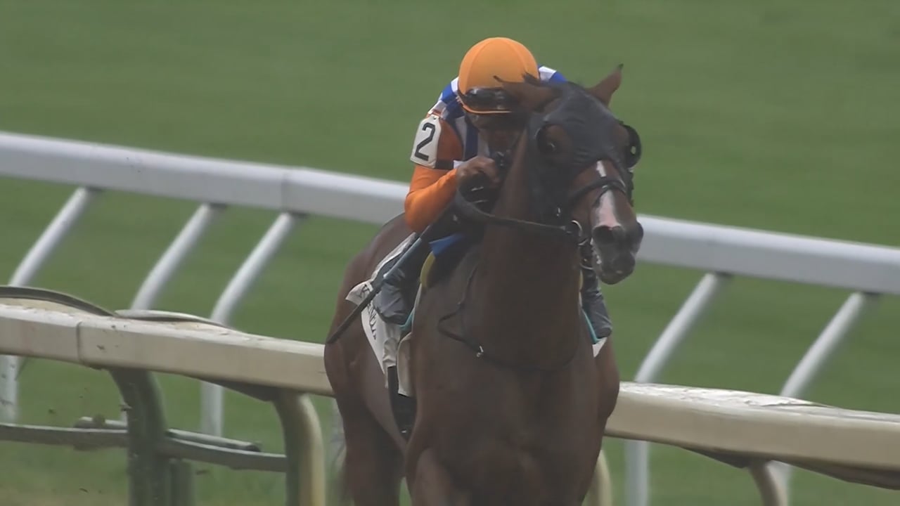 Dornoch | 2023 MdSpWt at Keeneland