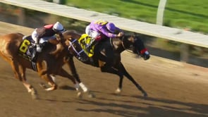 Raging Torrent | 2024 Pat O'Brien Stakes (G2) at Del Mar