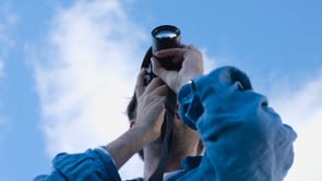 Miller Harris - Louis Sheridan TOWN