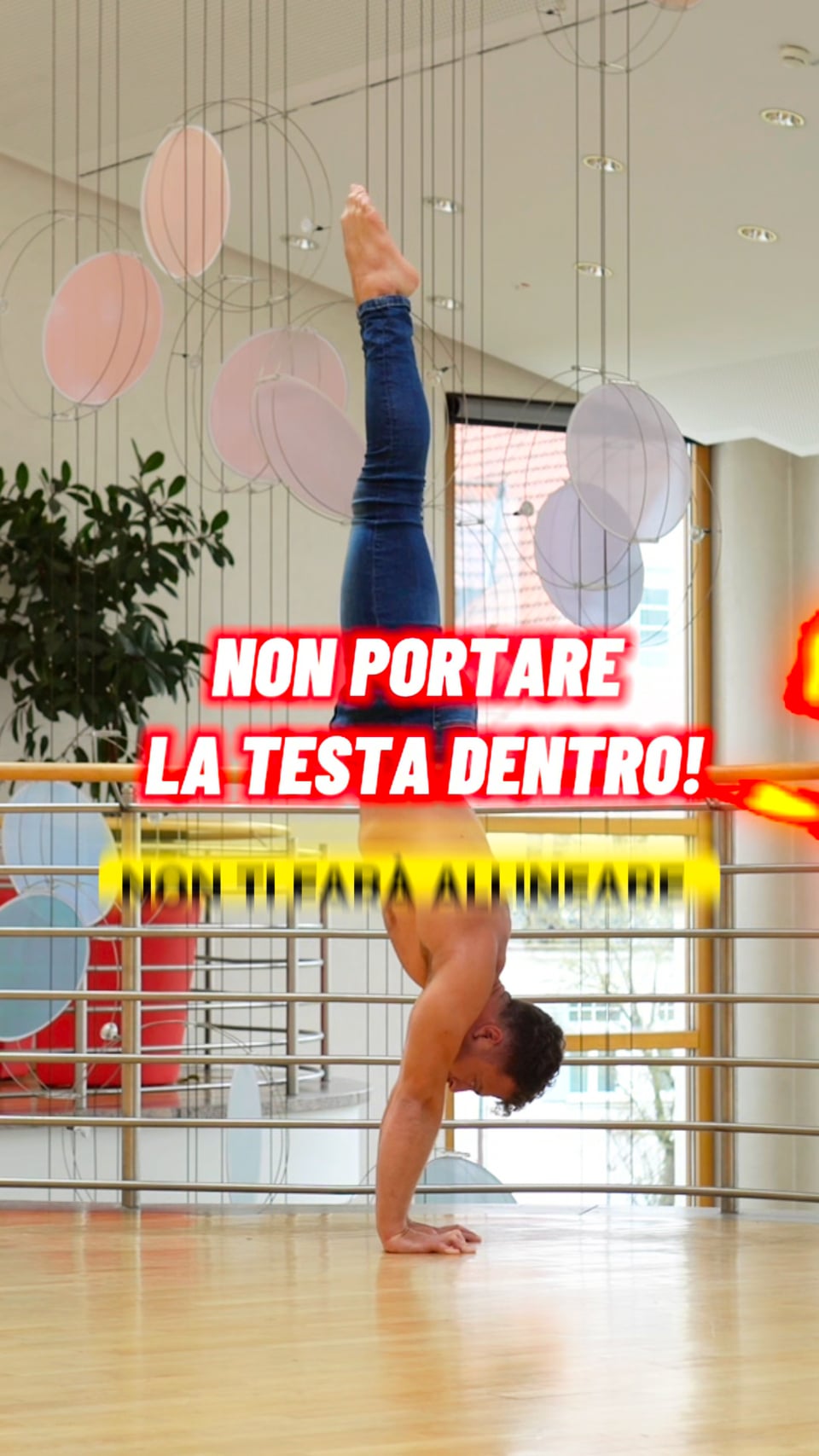 NON PORTARE LA TESTA DENTRO