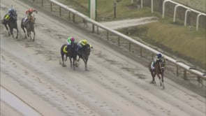 Irish Maxima | 2025 Barbara Fritchie Stakes at Laurel Park