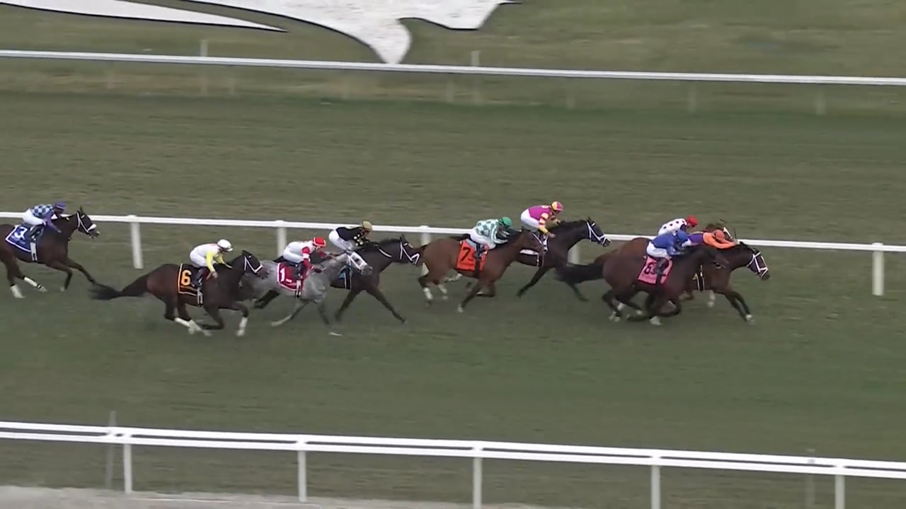 Major Dude | 2024 Ft. Lauderdale Stakes (G2) at Gulfstream