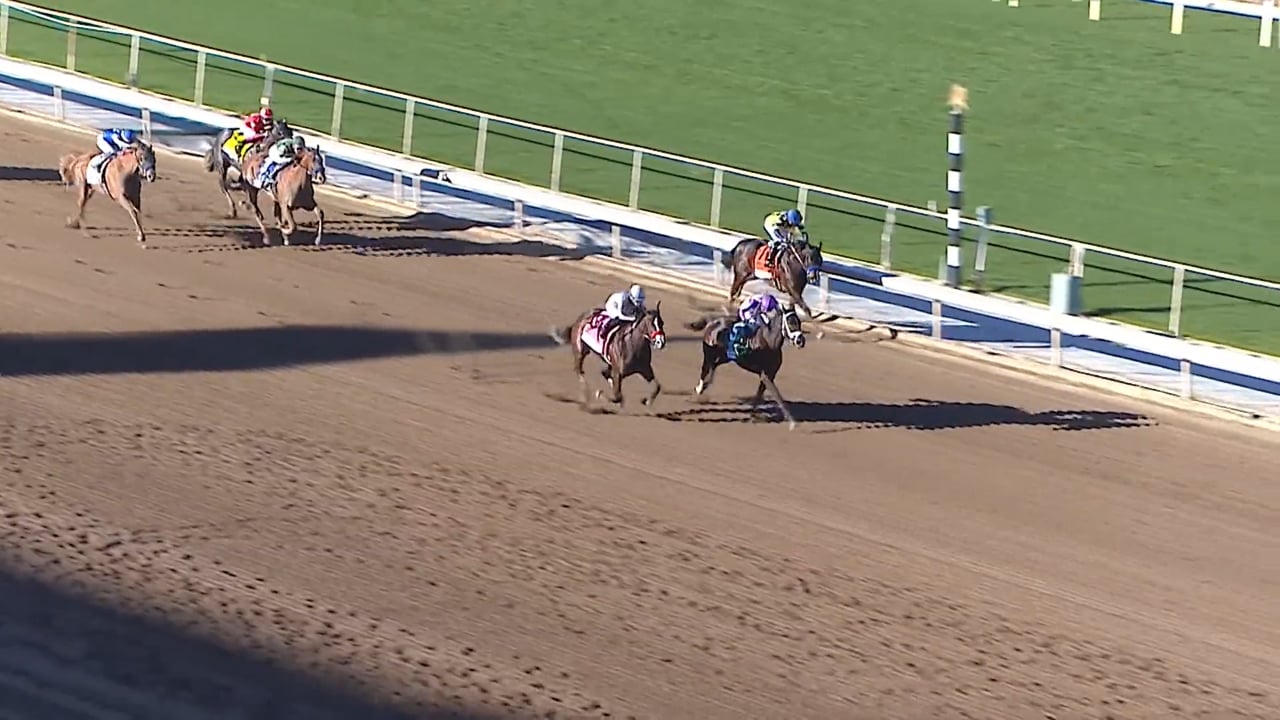 Look Forward | Santa Ynez Stakes at Santa Anita