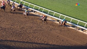 Citizen Bull | 2024 Breeders' Cup Juvenile (G1) at Del Mar