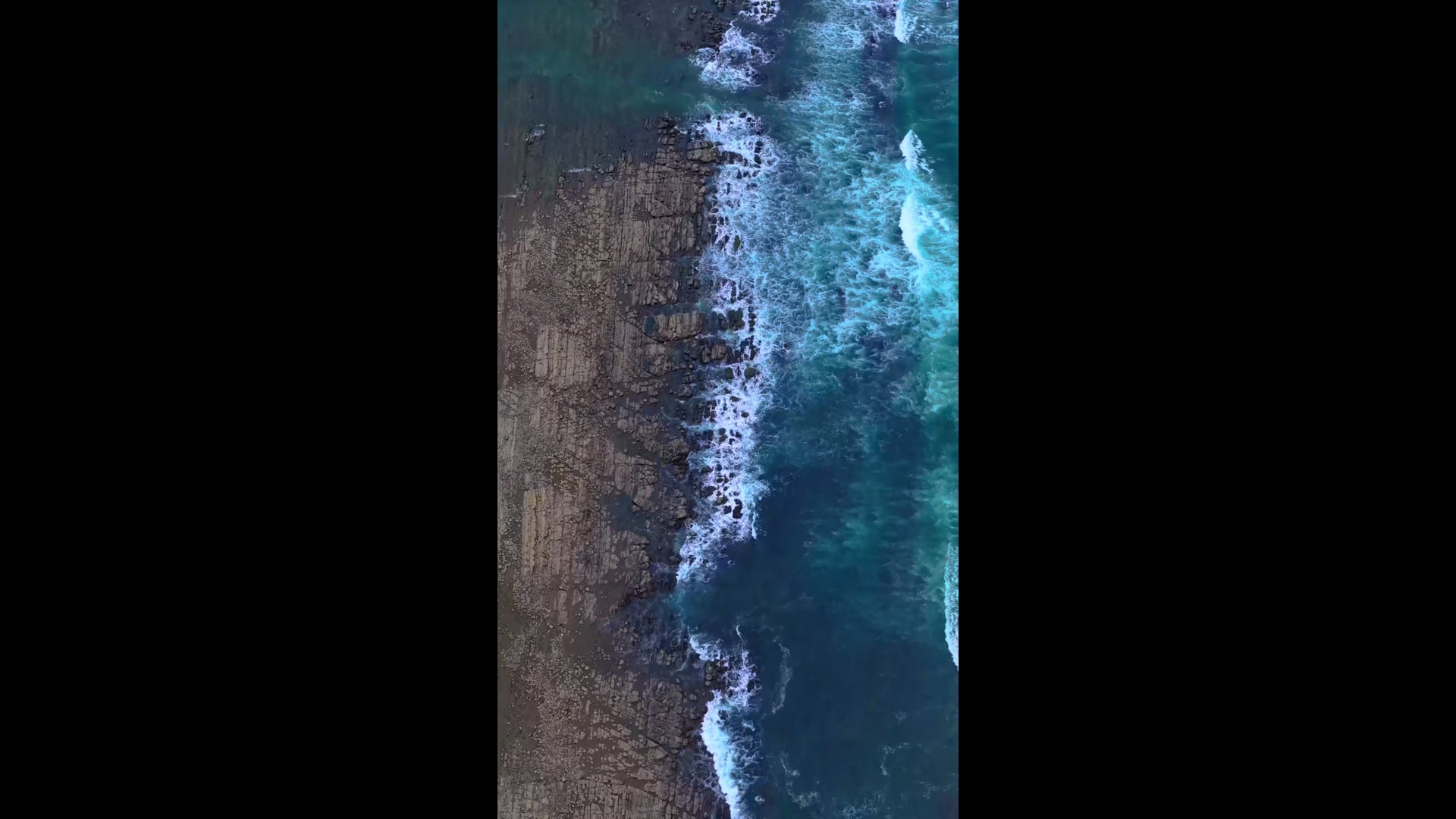 Bahía Ballena