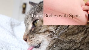 Trans Bodies with Spots, 2019