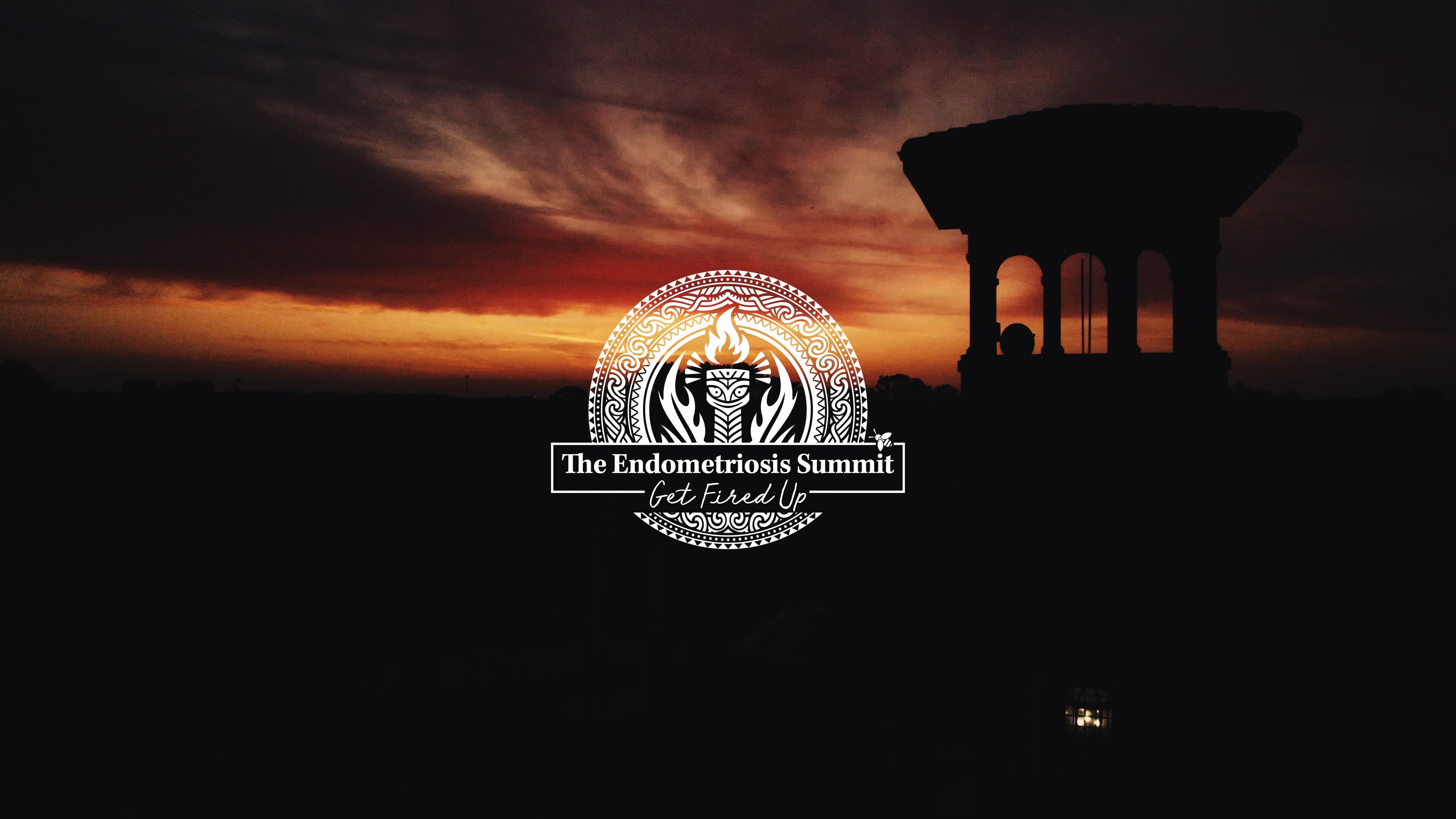 The Endometriosis Summit 2025