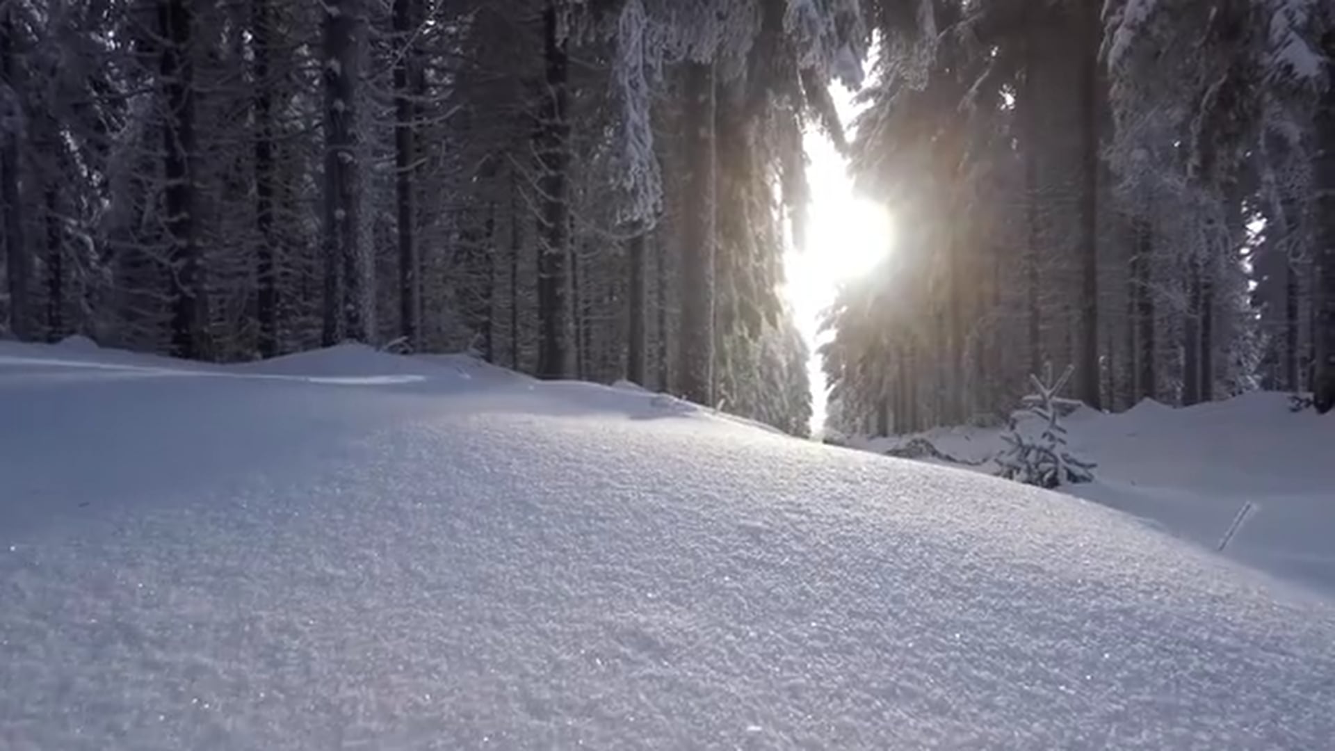 Bernaqua - Winter