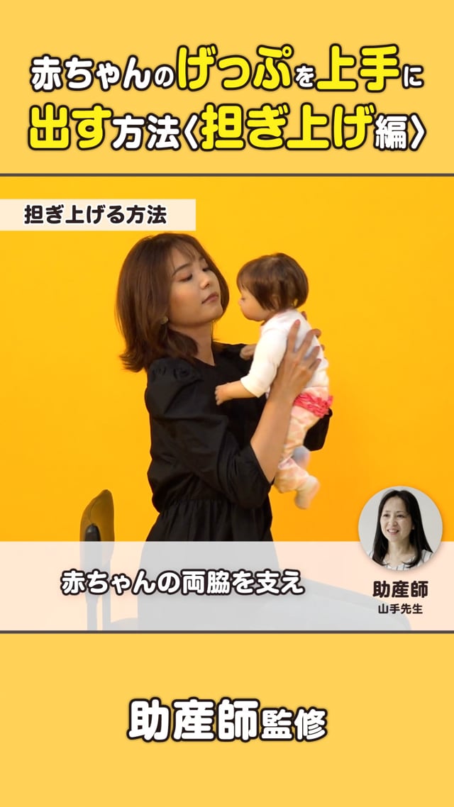アイナ・メイの自然出産ガイド アイナ・メイの自然出産ガイド―こころ・からだ・産科学を活かす