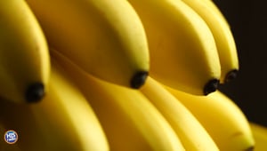 Do Bananas Get SAD?