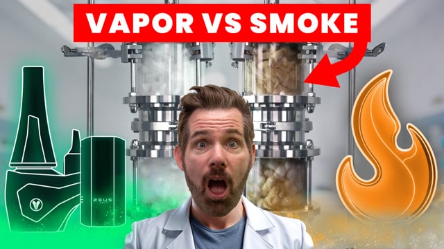vap vid Squirrel Vaping: Watch: Tiny grey squirrel caught 'vaping' in viral video –  internet can't stop reacting main image 0