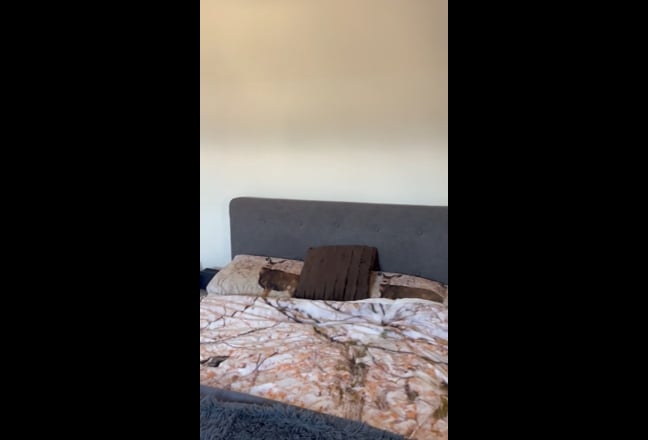Video 1: