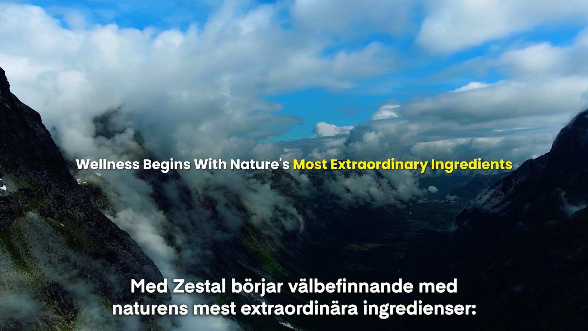 Product and Partners Overview_Swedish Subtitles