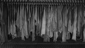 Harrys of London - C.F. Stead