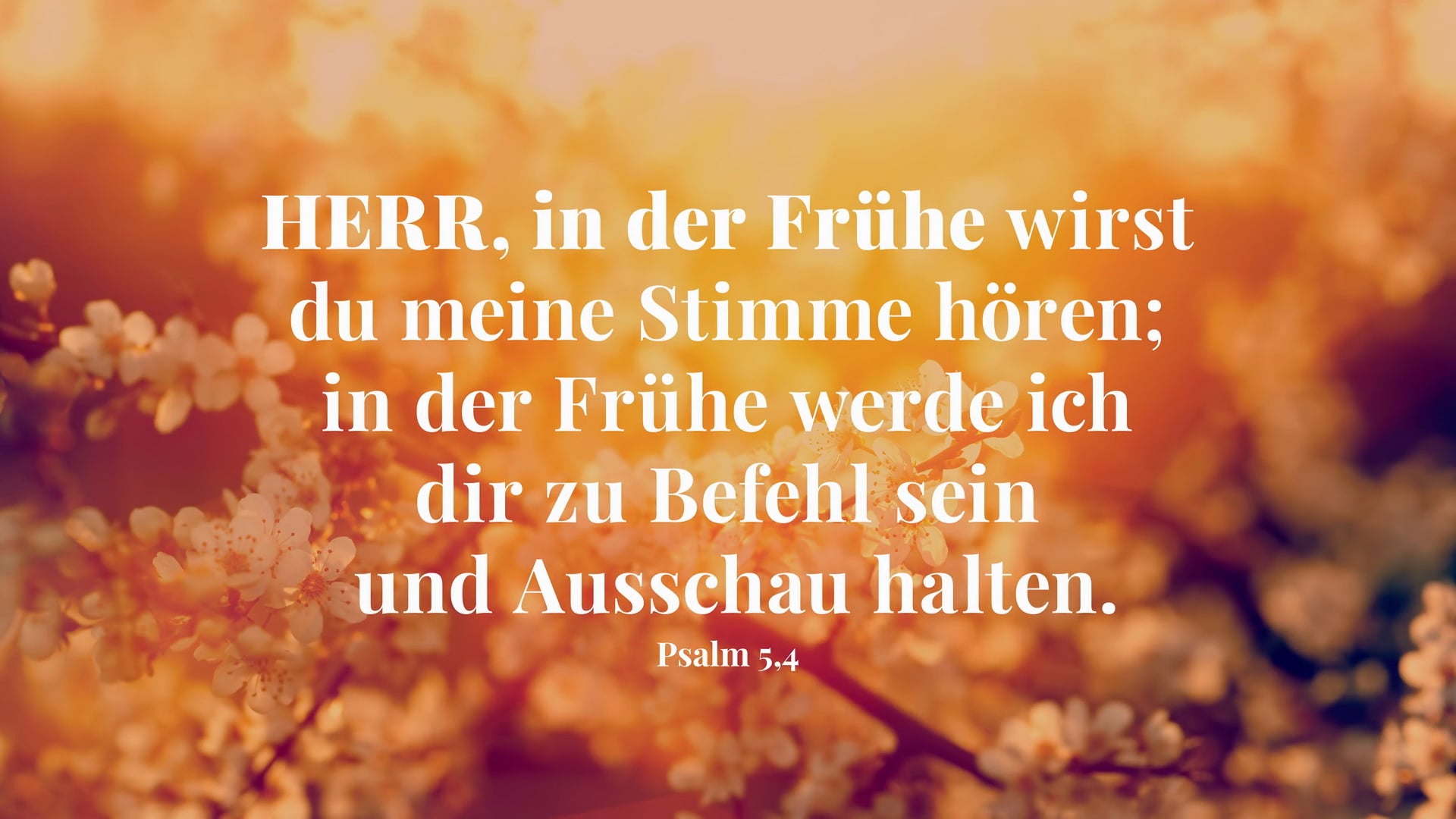 Gottesdienst | 06.04.25 - 16:00 Uhr