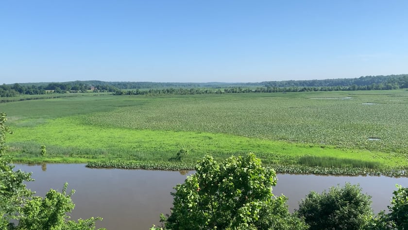 vimeo-video-thumbnail