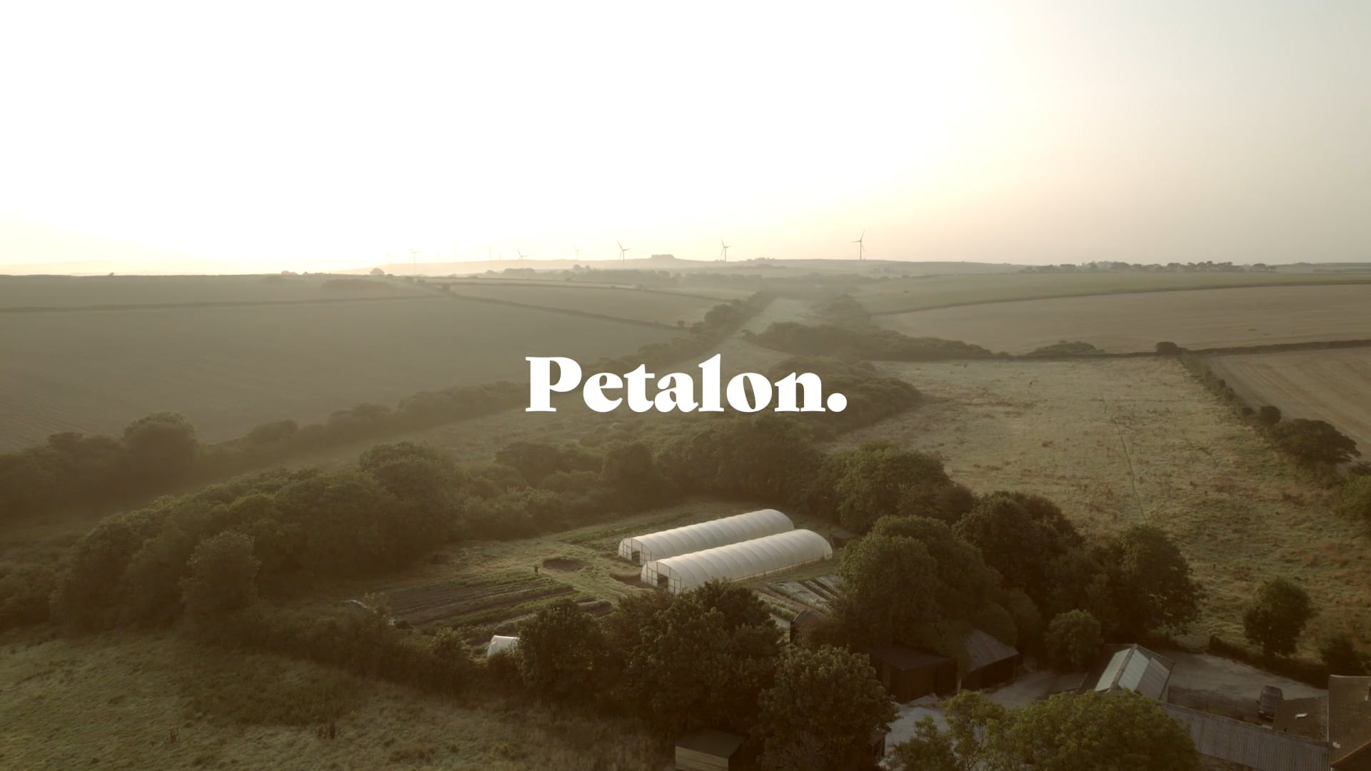 Petalon