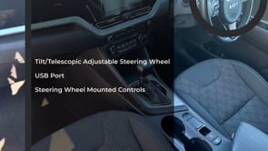KIA NIRO 2021 (71)