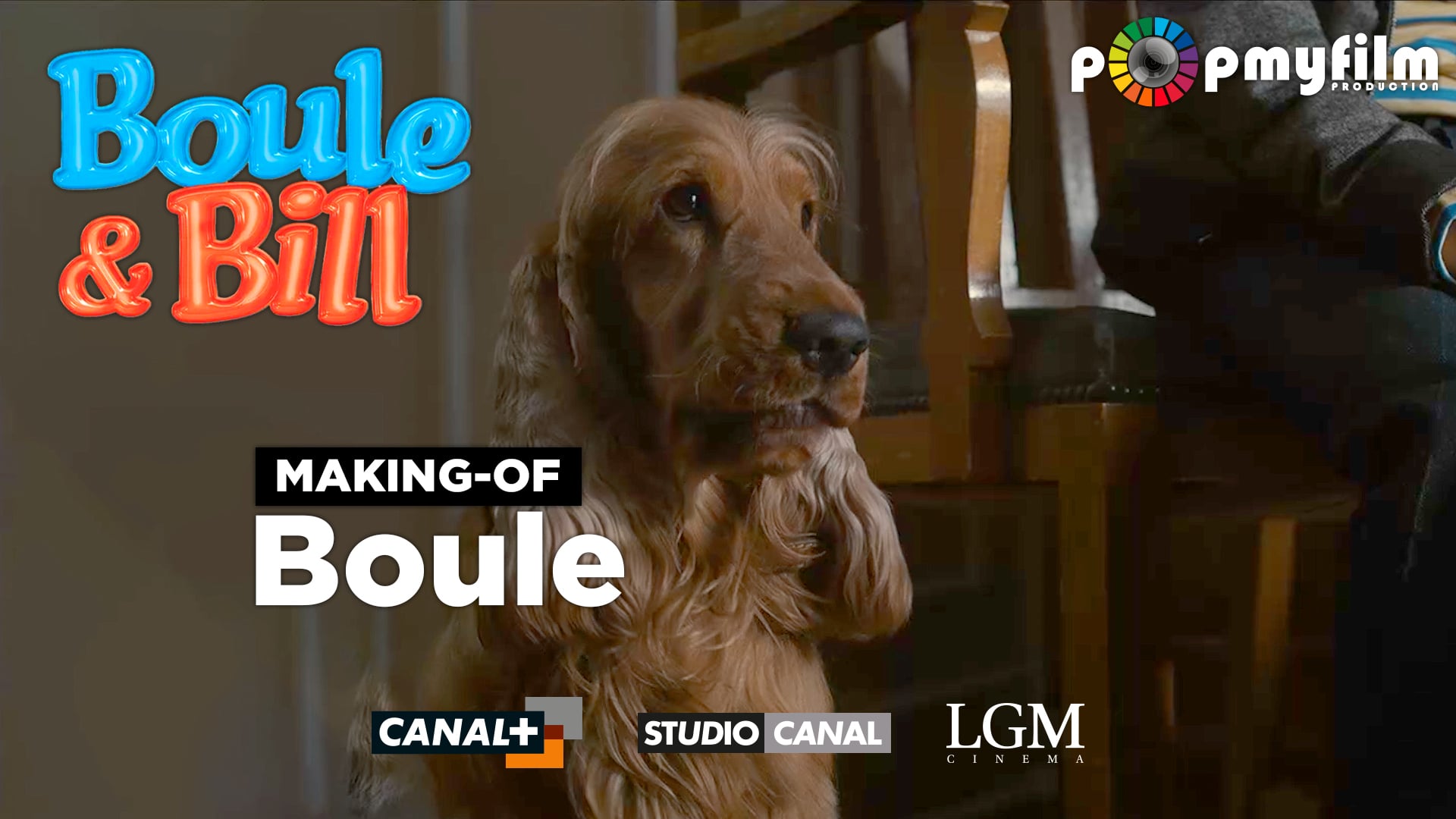 Boule-et-Bill-Bonus-Module-Boule