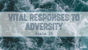 Vital Responses to Adversity