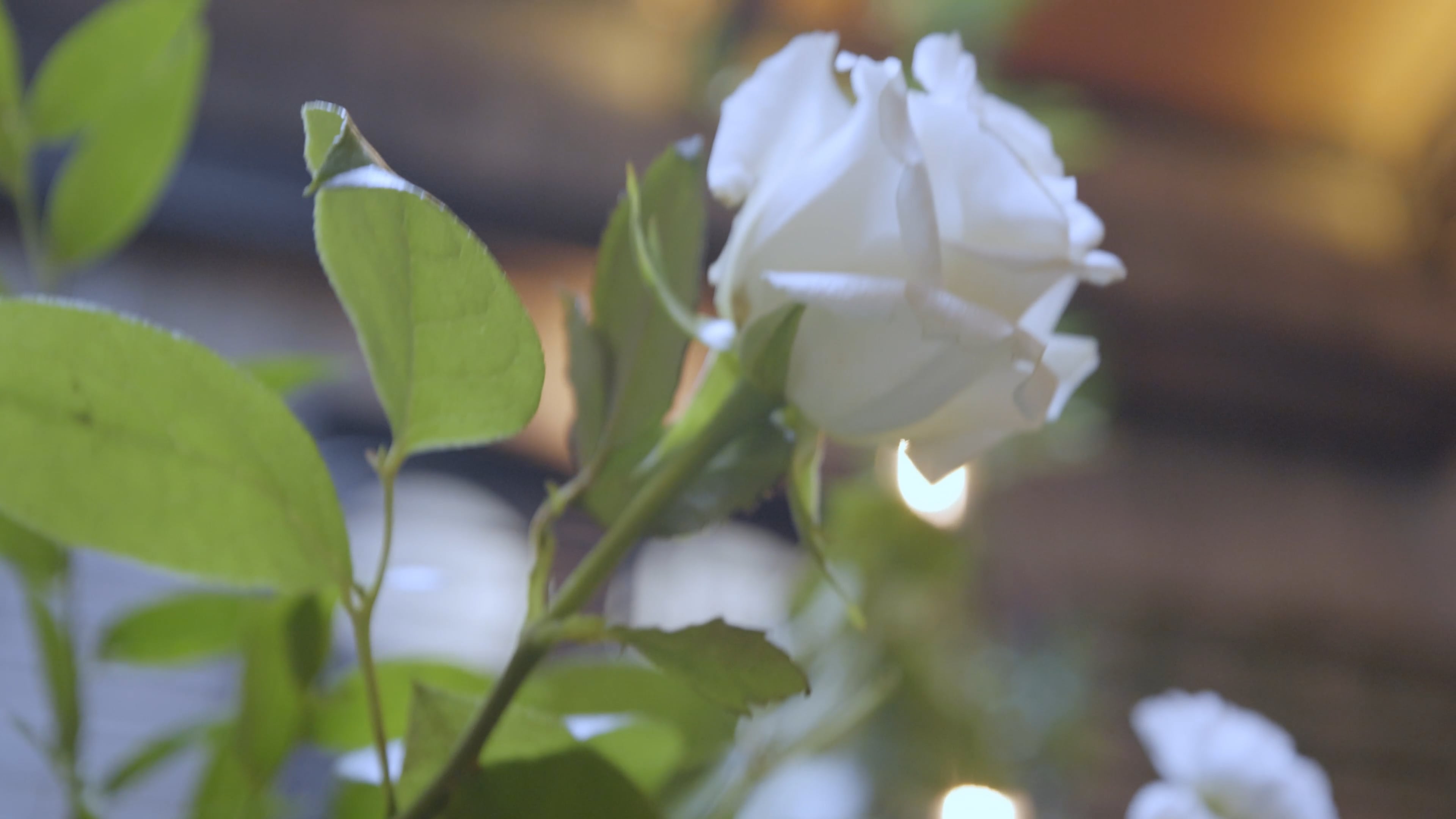 Jina + Heejung_Fremont Foundry