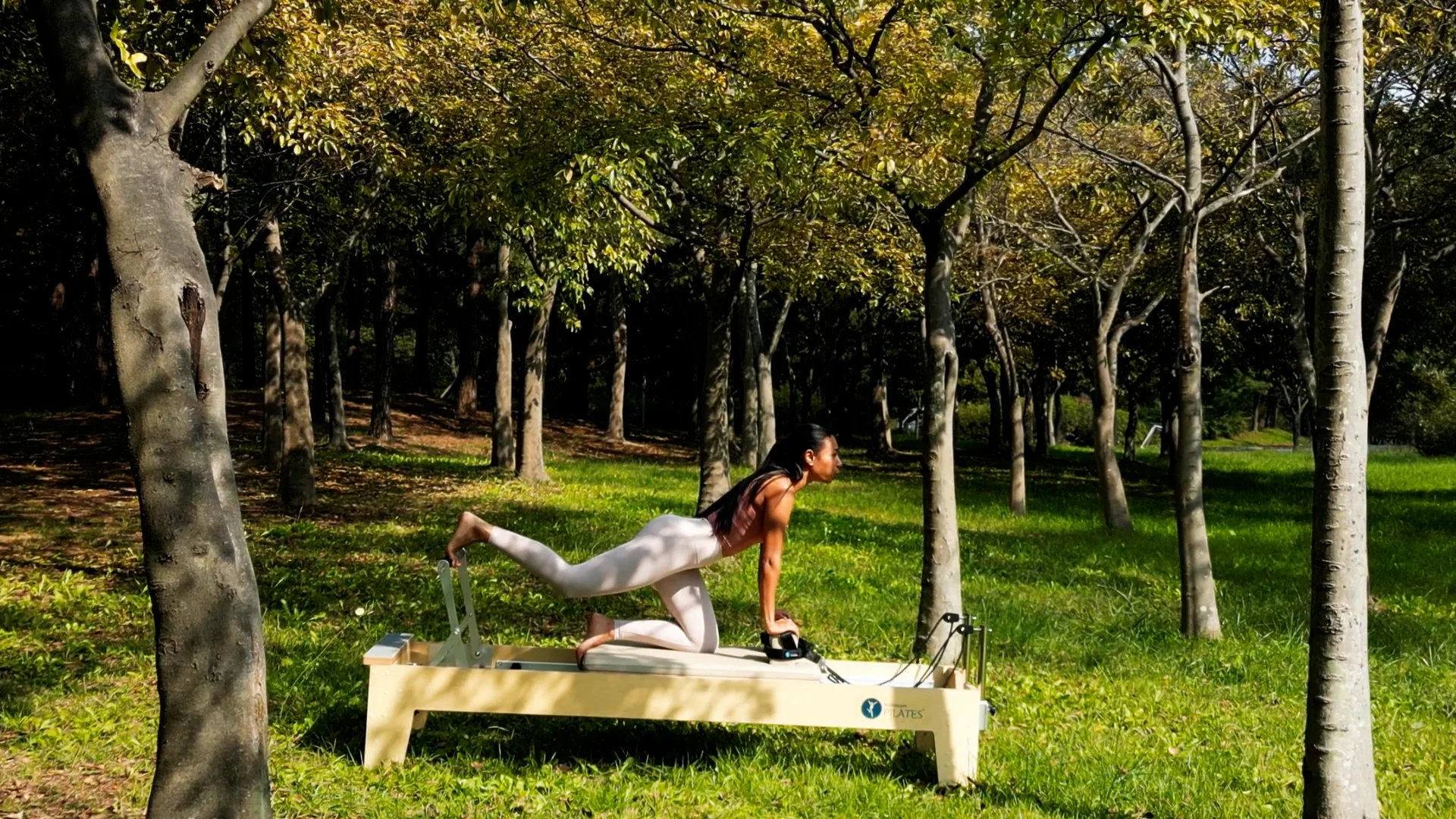 Motioncare Pilates Global