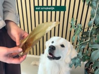 Heeft jouw hond zijn snacks altijd razendsnel op? Dat is met onze Buffeloren verleden tijd! Deze 100% natuurlijke kauwsnack biedt urenlang kauwplezier en ondersteunt&amp;hellip;
