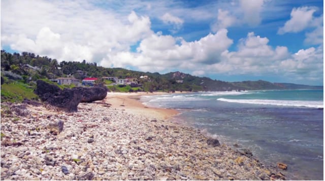 Caribbean Vacation from French Connexion