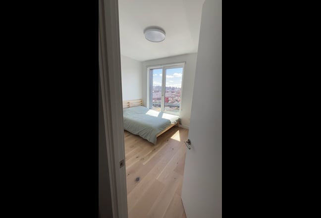 Large private luxury room in Carroll Gardens Main Photo