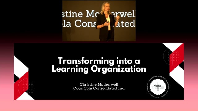 Transforming into a Learning Organization