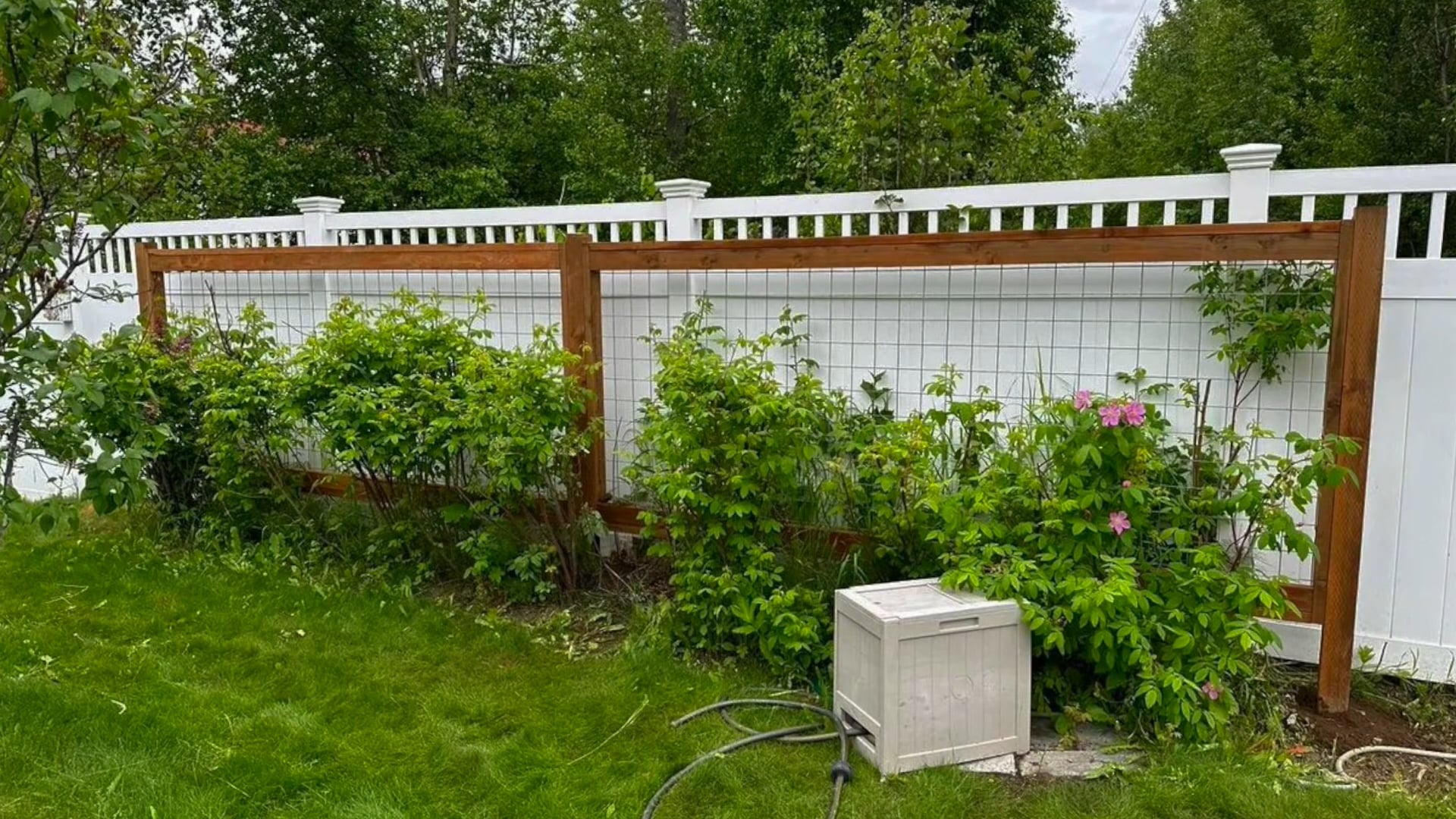 Professional Property Maintenance