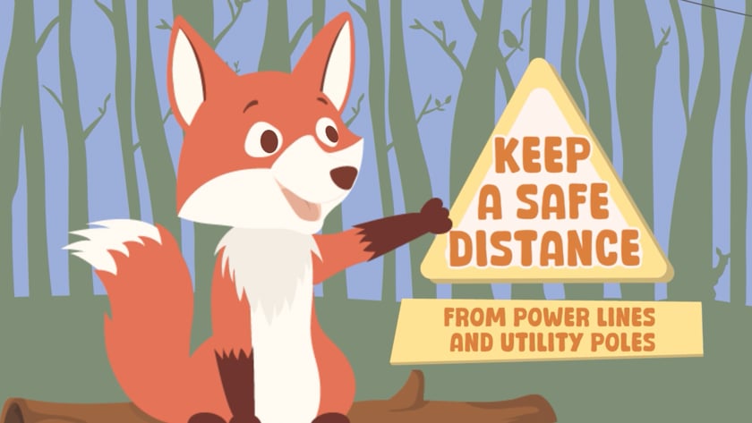 vimeo-video-thumbnail