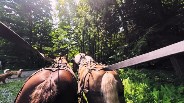 Sterling Mountain Farm Summer in the Mountains