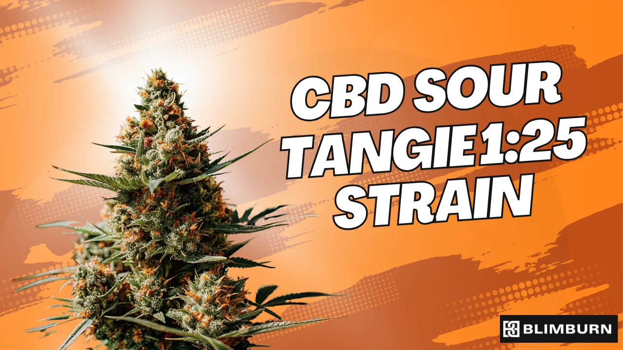 CRD63%＋30% 1ml Tangie crdpo cbd ABX - Tangie - Terp Chews - Sativa | HERB