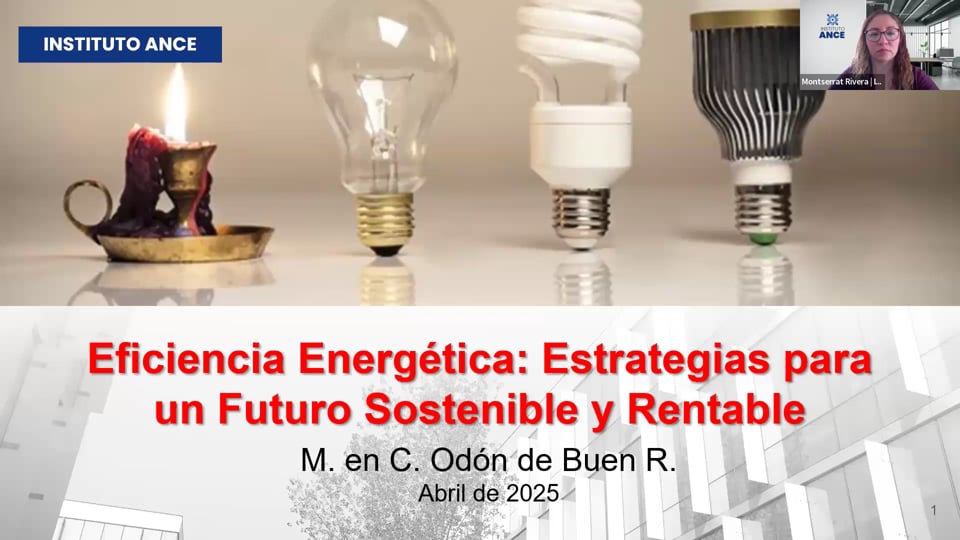 Eficiencia Energética: Estrategias para un Futuro Sostenible y Rentable